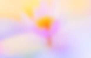 橙紫柔色渐变光晕背景