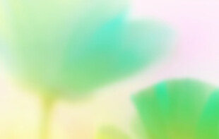 清新绿粉渐变柔焦背景