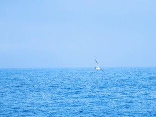 碧海蓝海景