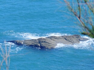 海面礁石海浪景观