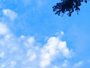 夏日晴空云与树影