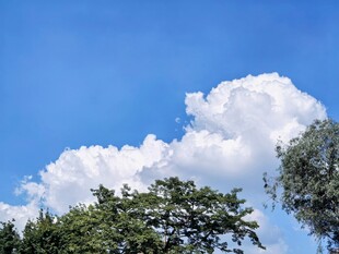 蓝天白云绿树自然风景