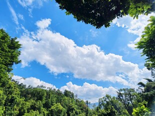 蓝天白云绿树清新风景