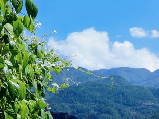 晴日山野自然风景