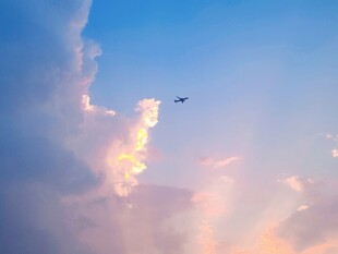日暮晴空飞鸟掠云