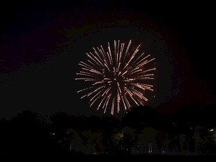 夜空盛放的烟花