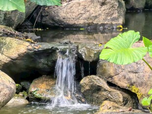 石间小瀑布自然水景