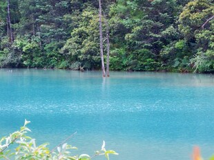林间蓝湖自然风光