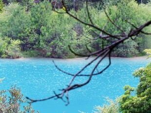 蓝湖林间风光
