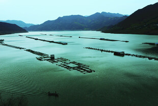 白龙湖