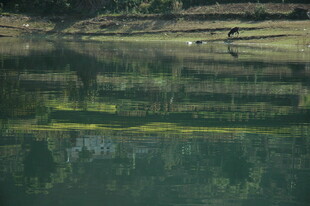 白龙湖风光