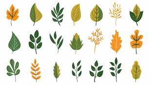绿植插画合集