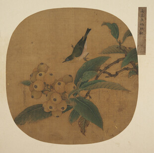 宋画枇杷草虫小品