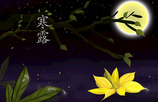 寒露节气月夜意境插画