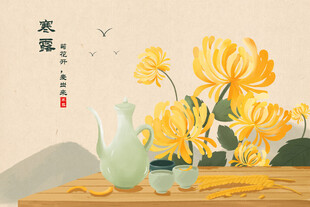 寒露秋菊国风插画