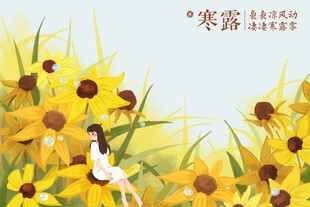 寒露花田少女插画
