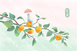 国风水彩柿子枝插画