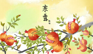 寒露石榴国风插画