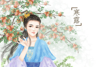 寒露古风仕女插画