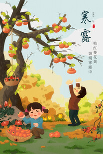 寒露摘柿子民俗插画