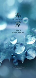 寒露节气露水主题海报