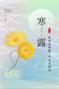 寒露节气菊花主题海报