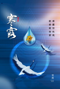 寒露节气创意海报