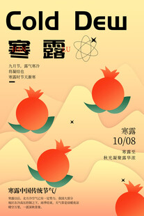 寒露节气创意石榴海报