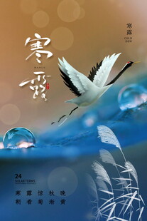 寒露节气主题海报