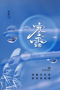 寒露节气创意海报