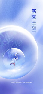 寒露节气主题海报