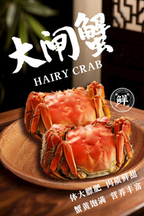 大闸蟹美食宣传海报