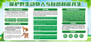 保护野生动物宣传展板