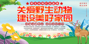 关爱野生动物公益海报
