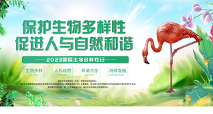 保护生物多样性宣传海报
