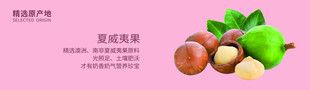 夏威夷果产品宣传图