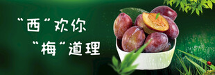 西梅创意宣传素材