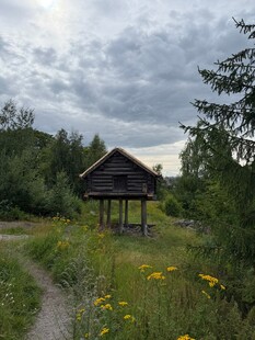 郊野林间小木屋风景
