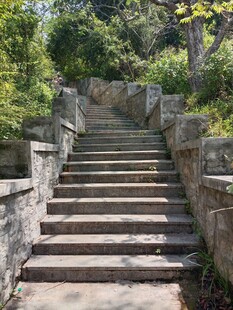 林间石阶步道