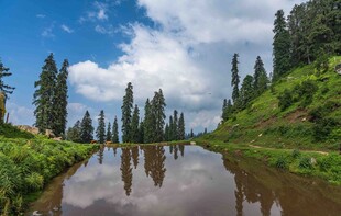 河畔山林自然美景