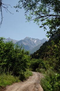 山间郊野土路风景