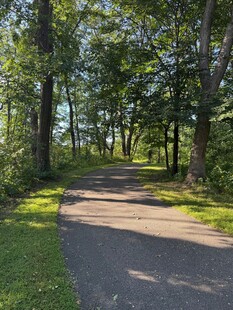 夏日林间小路风景