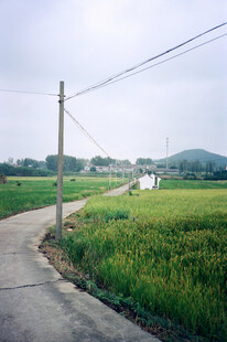乡野田间小路风光
