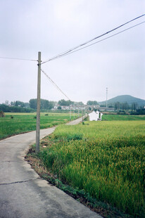 乡村郊野田园风光