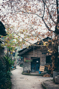 秋日老街老屋小景