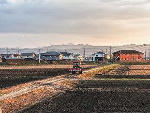 乡村农田耕作风光
