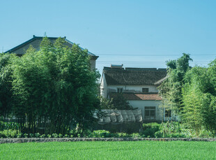 乡村民居户外风光