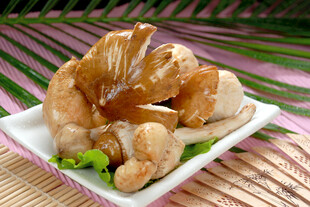 鸡枞菌