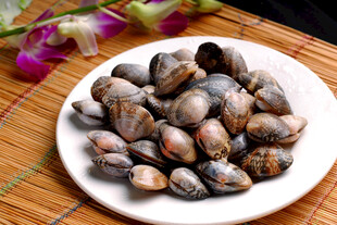 新鲜花蛤食材