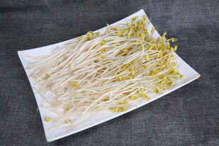 新鲜豆芽摆盘展示
